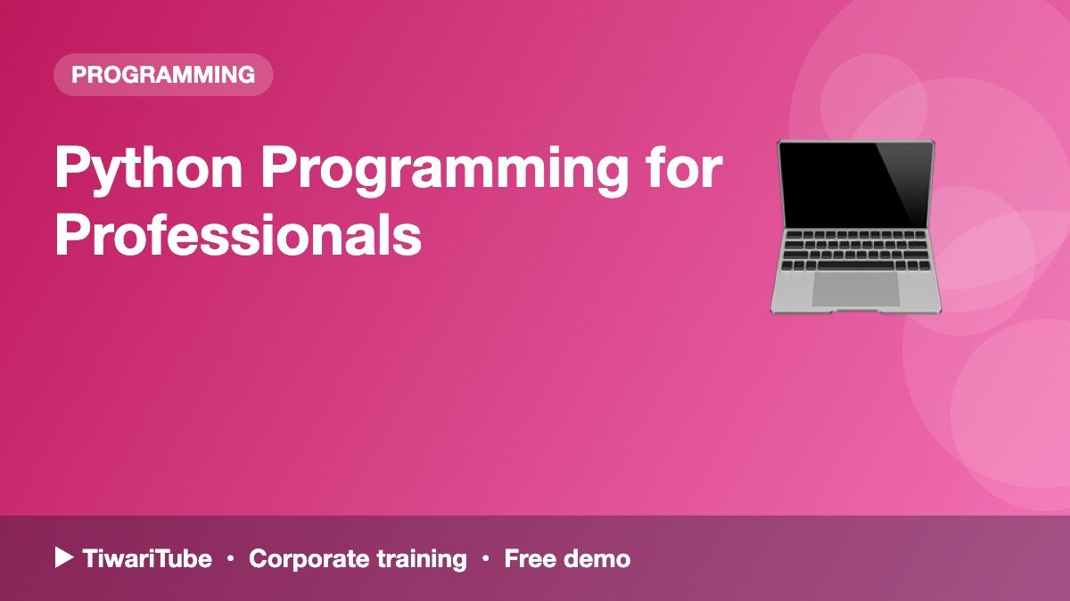 Python Programming for Professionals