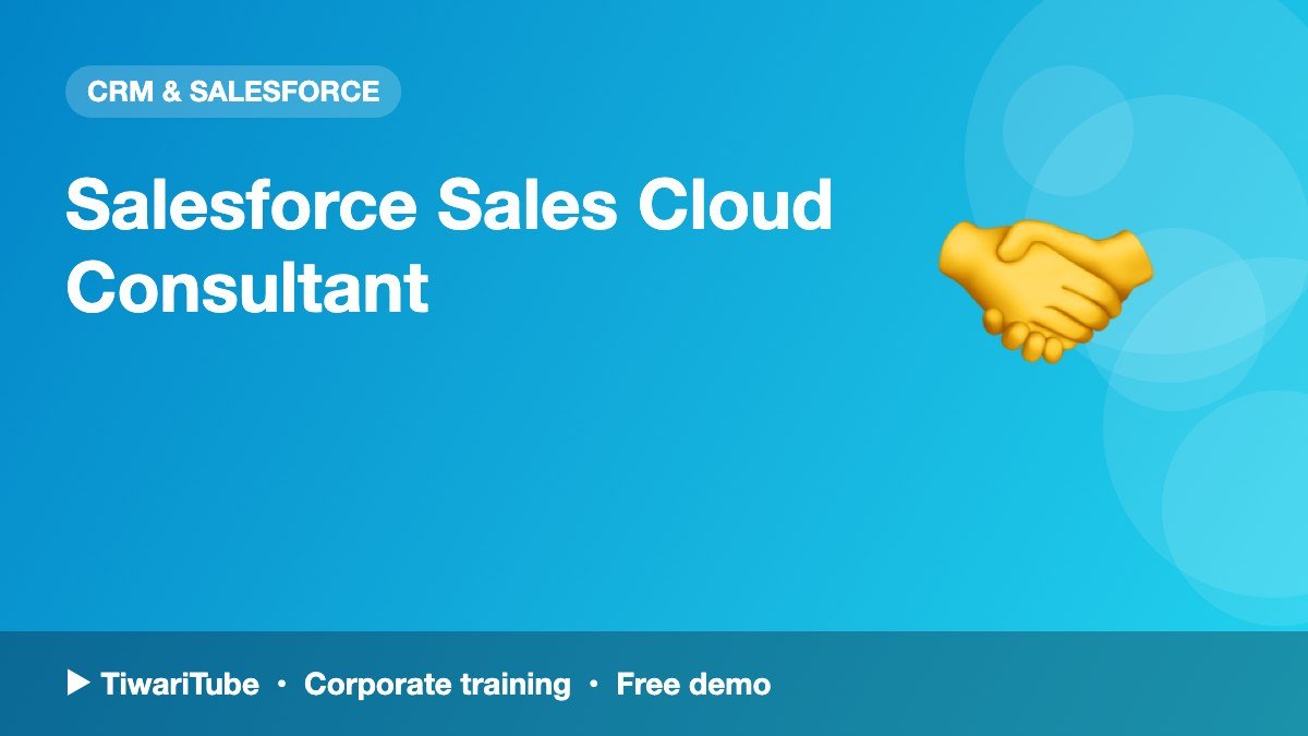 Salesforce Sales Cloud Consultant